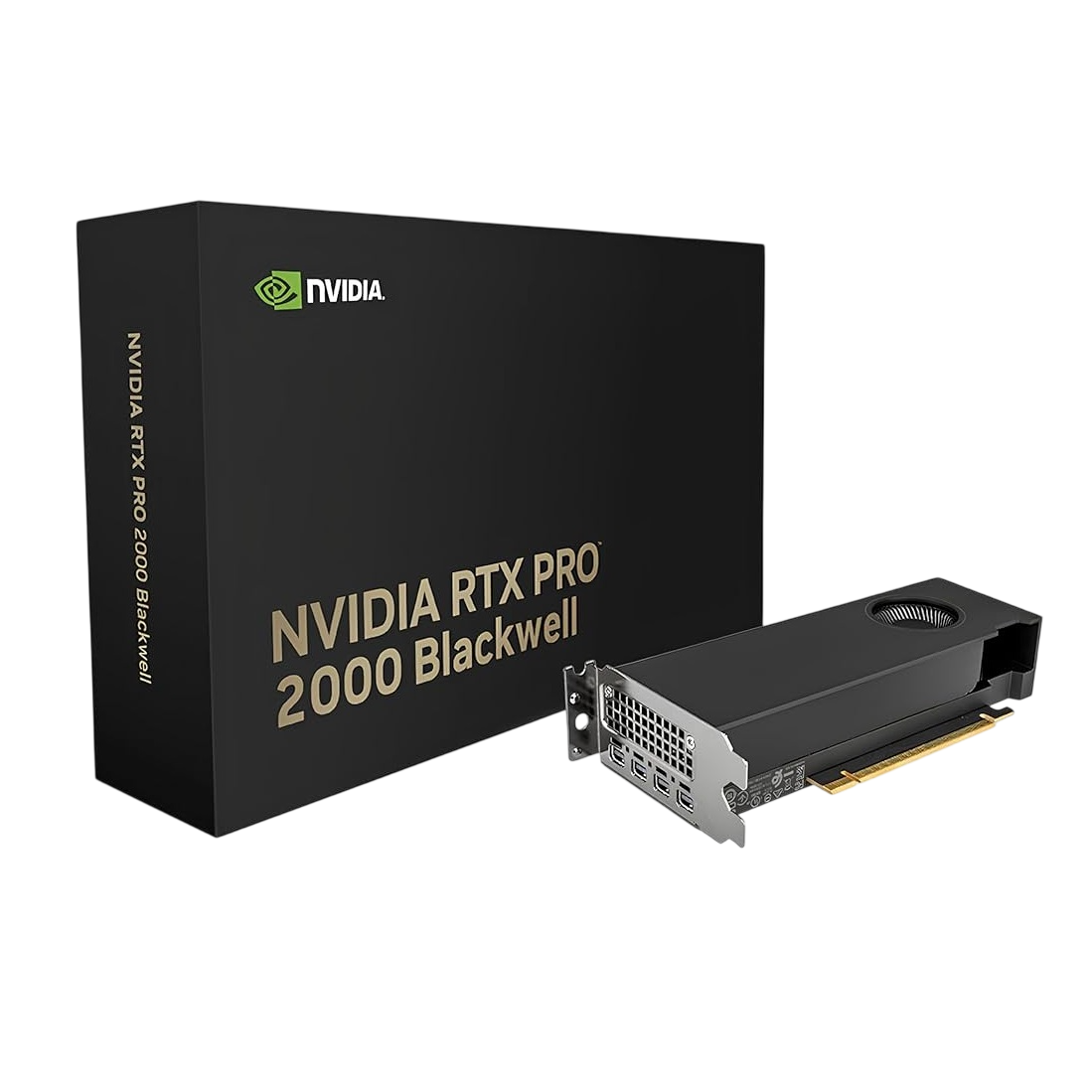 VGA PNY QUADRO RTX PRO 2000 Blackwell 16Gb GDDR7 4x Mini Display Port VGA PNY QUADRO RTX PRO 2000 Blackwell 16Gb GDDR7 4x Mini Display Port